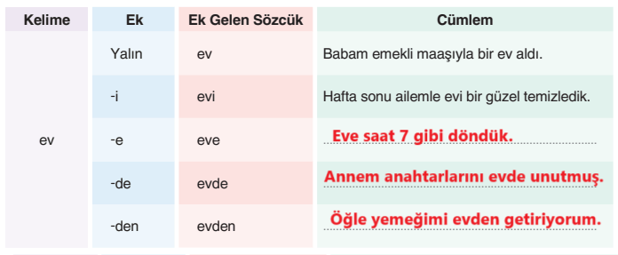 6. Sınıf Türkçe Ders Kitabı Sayfa 147 Cevapları Yıldırım Yayınları