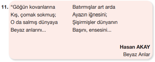 7. Sınıf Türkçe Ders Kitabı Sayfa 167 Cevapları Özgün Yayıncılık