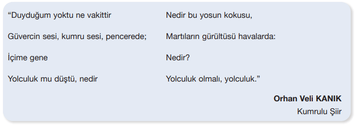 7. Sınıf Türkçe Ders Kitabı Sayfa 168 Cevapları Özgün Yayıncılık