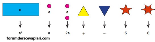 8. Sınıf Matematik Ders Kitabı Sayfa 151 Cevapları MEB Yayınları2