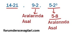 8. Sınıf Matematik Ders Kitabı Sayfa 164 Cevapları MEB Yayınları4