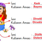 2. Sınıf Hayat Bilgisi Ders Kitabı Sayfa 166 Cevapları MEB Yayınları