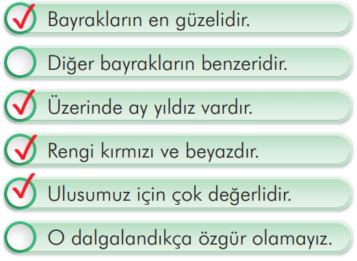 2. Sınıf Türkçe Ders Kitabı Sayfa 217 Cevapları İlke Yayıncılık