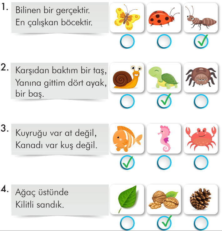 2. Sınıf Türkçe Ders Kitabı Sayfa 272 Cevapları İlke Yayıncılık