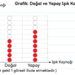 3. Sınıf Fen Bilimleri Ders Kitabı Sayfa 126 Cevapları MEB Yayınları