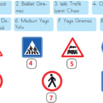 3. Sınıf Hayat Bilgisi Ders Kitabı Sayfa 120 Cevapları MEB Yayınları