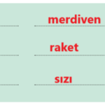 3. Sınıf Türkçe Ders Kitabı Sayfa 207 Cevapları MEB Yayınları