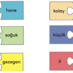 3. Sınıf Türkçe Ders Kitabı Sayfa 219 Cevapları MEB Yayınları