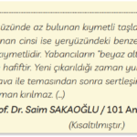 3. Sınıf Türkçe Ders Kitabı Sayfa 222 Cevapları MEB Yayınları