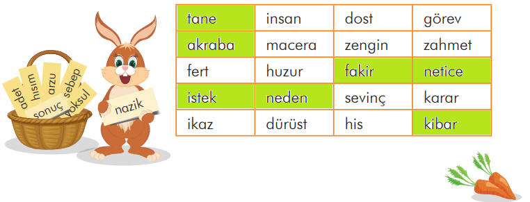 3. Sınıf Türkçe Ders Kitabı Sayfa 223 Cevapları İlke Yayıncılık