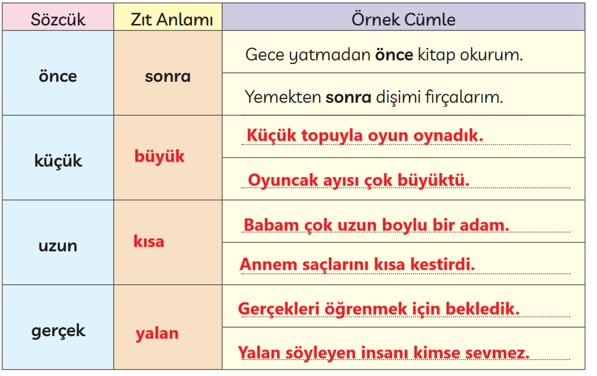 3. Sınıf Türkçe Ders Kitabı Sayfa 246 Cevapları MEB Yayınları