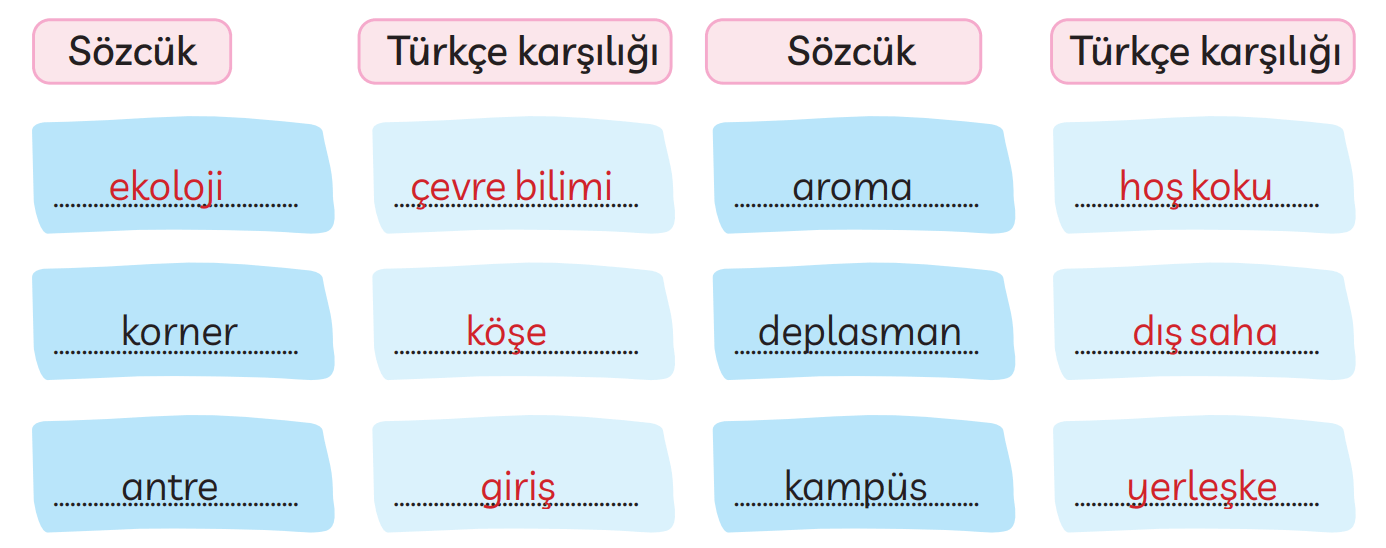 3. Sınıf Türkçe Ders Kitabı Sayfa 249 Cevapları MEB Yayınları