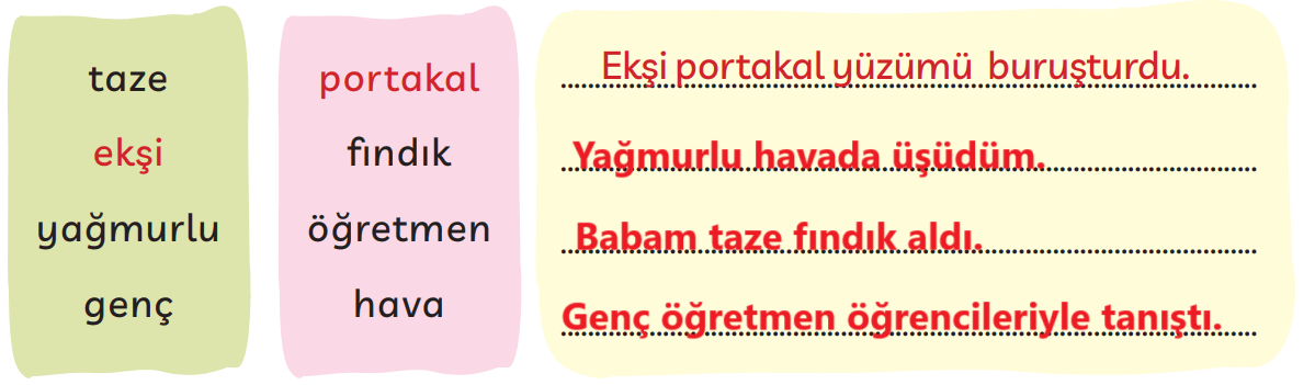 3. Sınıf Türkçe Ders Kitabı Sayfa 251 Cevapları MEB Yayınları