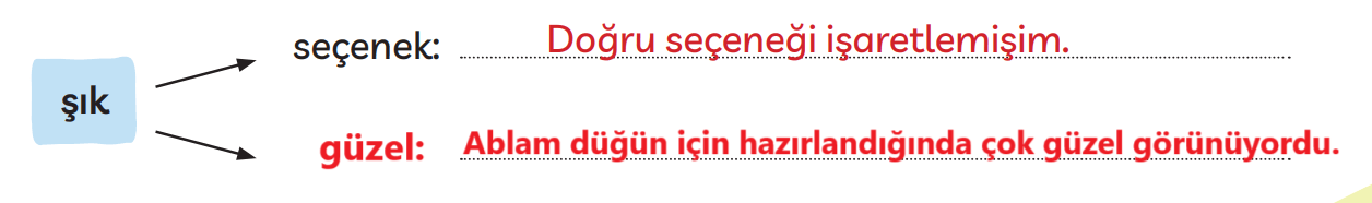 3. Sınıf Türkçe Ders Kitabı Sayfa 251 Cevapları MEB Yayınları