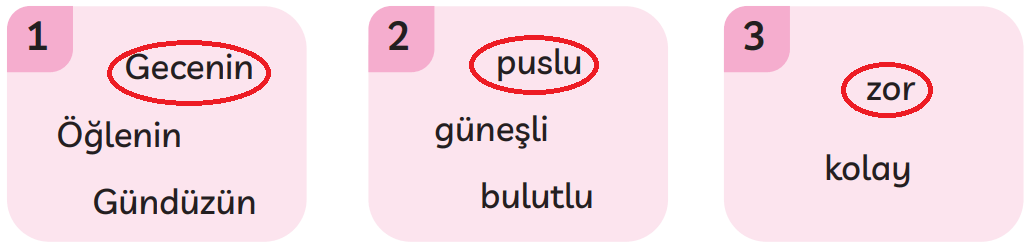 3. Sınıf Türkçe Ders Kitabı Sayfa 258 Cevapları MEB Yayınları