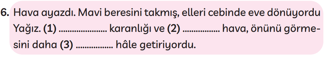 3. Sınıf Türkçe Ders Kitabı Sayfa 258 Cevapları MEB Yayınları