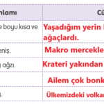 4. Sınıf Türkçe Ders Kitabı Sayfa 175 Cevapları Tuna Yayıncılık