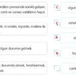 4. Sınıf Türkçe Ders Kitabı Sayfa 183 Cevapları Tuna Yayıncılık