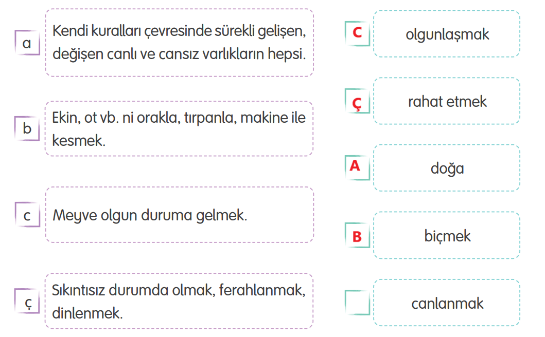 4. Sınıf Türkçe Ders Kitabı Sayfa 183 Cevapları Tuna Yayıncılık