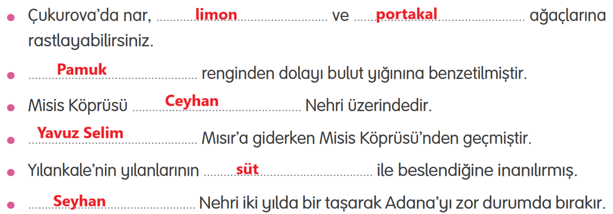 4. Sınıf Türkçe Ders Kitabı Sayfa 189 Cevapları Tuna Yayıncılık