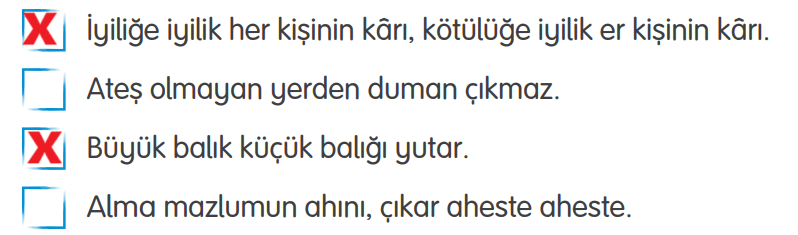 4. Sınıf Türkçe Ders Kitabı Sayfa 198 Cevapları Tuna Yayıncılık