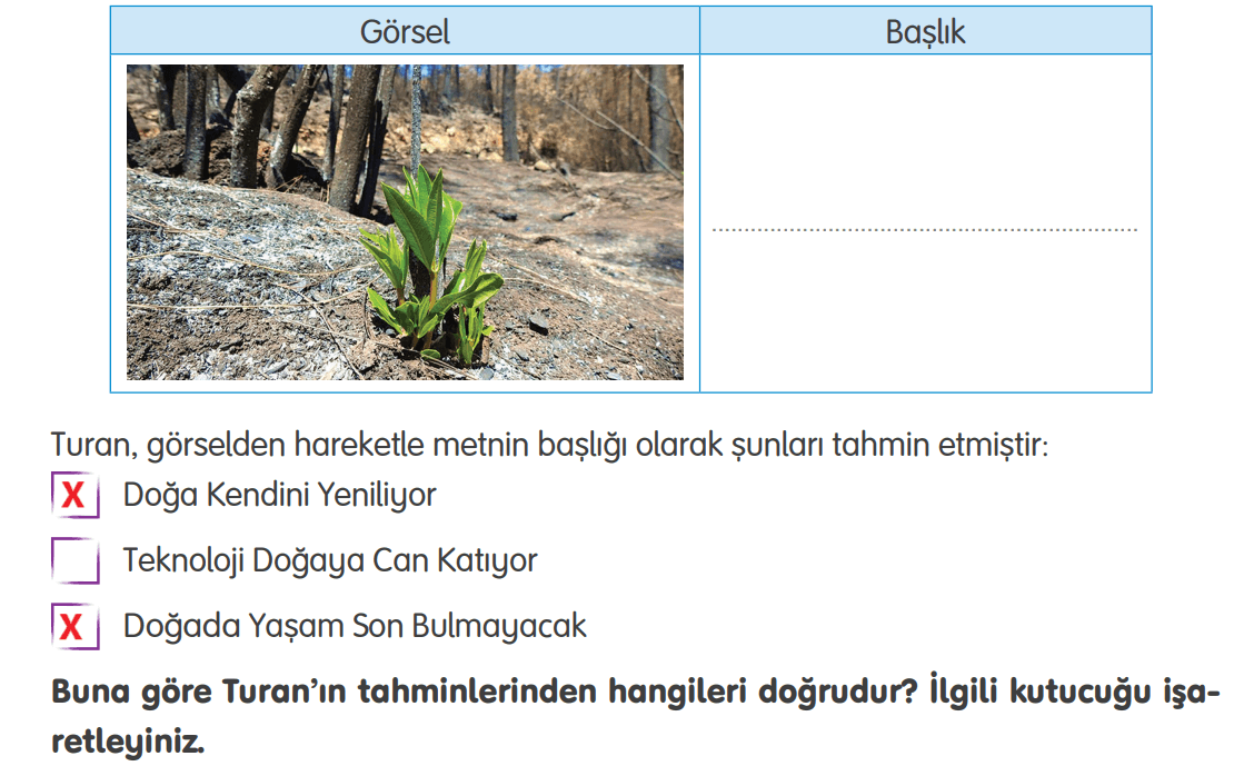 4. Sınıf Türkçe Ders Kitabı Sayfa 200 Cevapları Tuna Yayıncılık