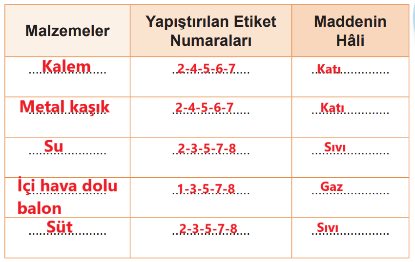 5. Sınıf Fen Bilimleri Ders Kitabı Sayfa 61 Cevapları MEB Yayınları