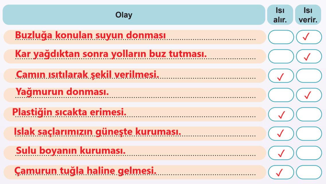 5. Sınıf Fen Bilimleri Ders Kitabı Sayfa 79 Cevapları MEB Yayınları