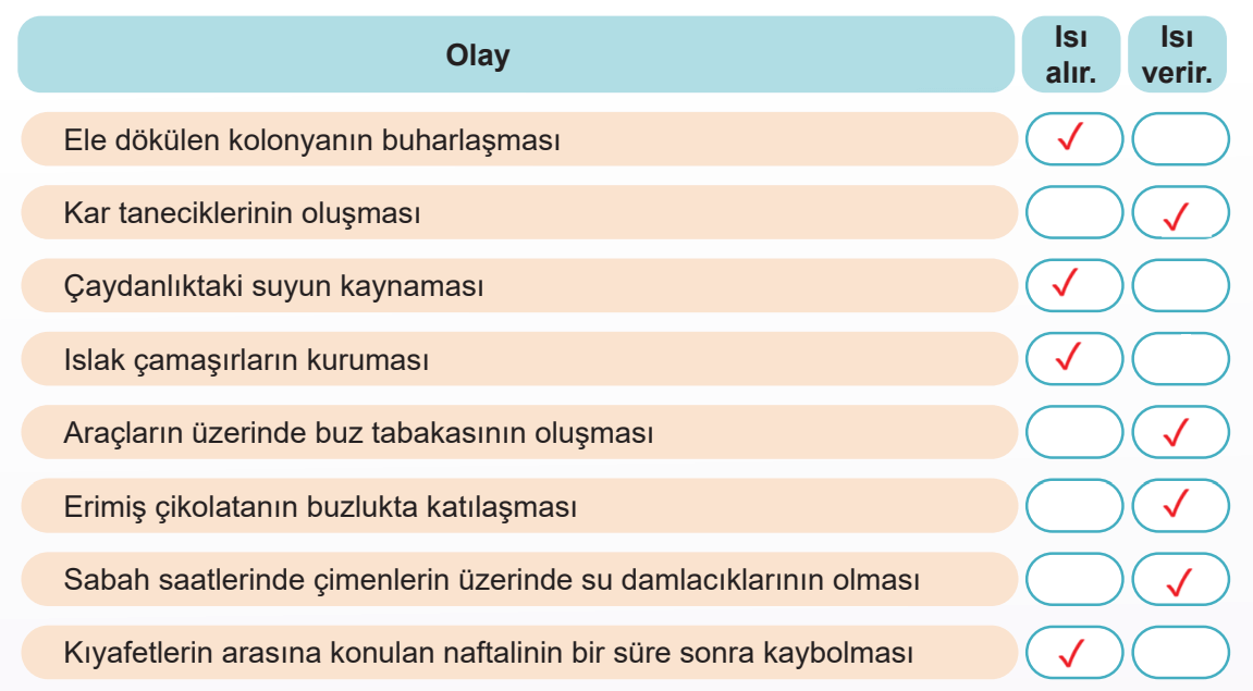 5. Sınıf Fen Bilimleri Ders Kitabı Sayfa 79 Cevapları MEB Yayınları