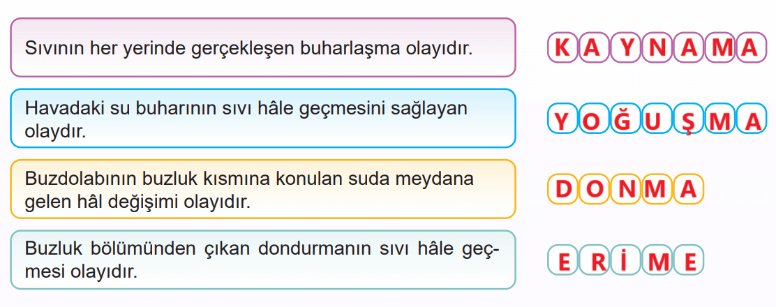 5. Sınıf Fen Bilimleri Ders Kitabı Sayfa 84 Cevapları MEB Yayınları