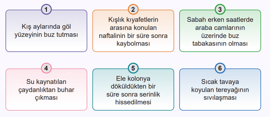 5. Sınıf Fen Bilimleri Ders Kitabı Sayfa 84 Cevapları MEB Yayınları