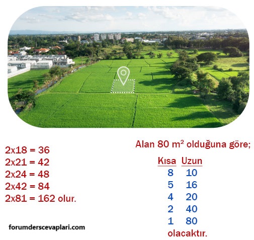 5. Sınıf Matematik Ders Kitabı Sayfa 164 Cevapları MEB Yayınları1