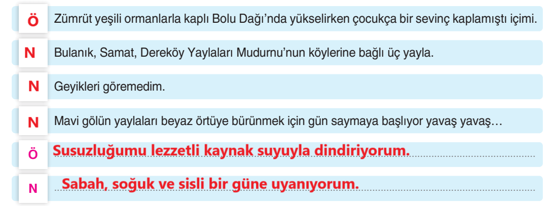 6. Sınıf Türkçe Ders Kitabı Sayfa 180 Cevapları Yıldırım Yayınları