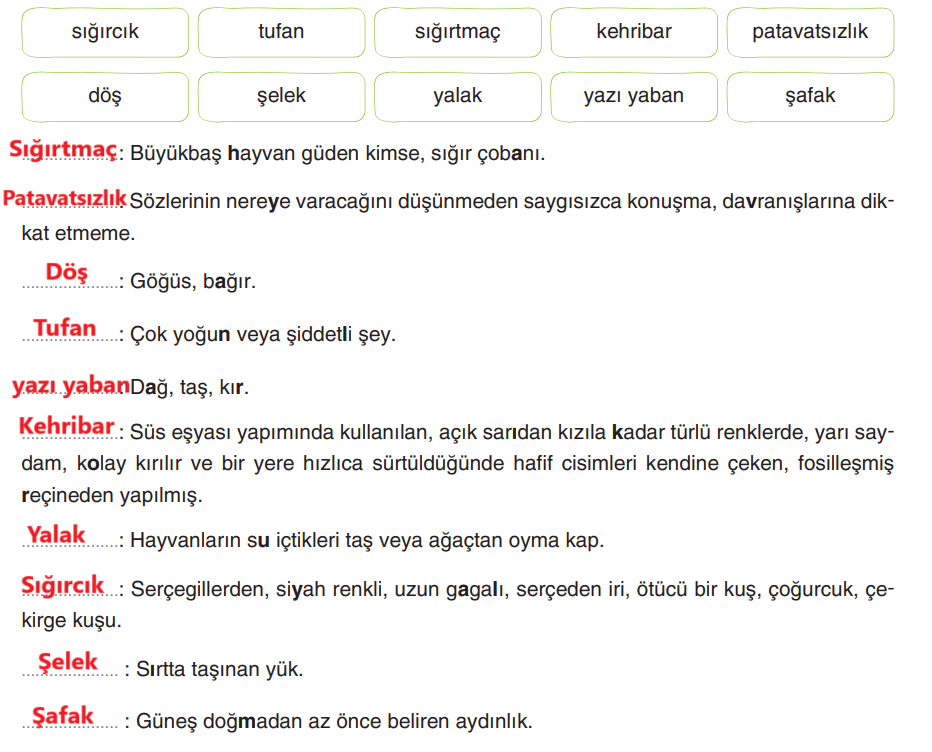 6. Sınıf Türkçe Ders Kitabı Sayfa 195 Cevapları Yıldırım Yayınları