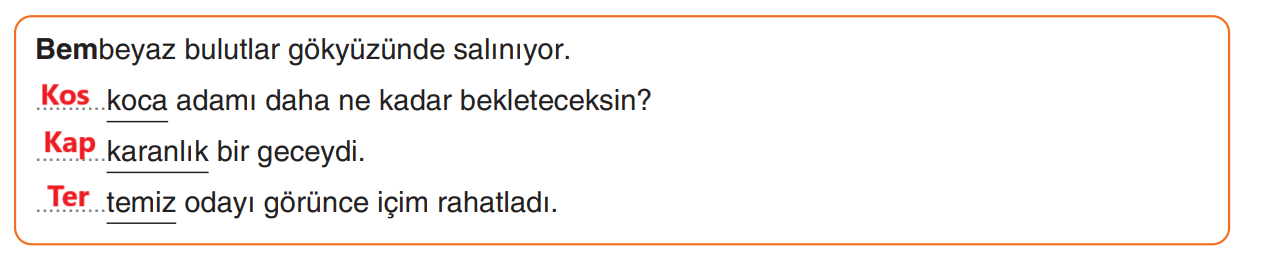 6. Sınıf Türkçe Ders Kitabı Sayfa 199 Cevapları Yıldırım Yayınları