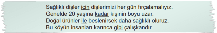 6. Sınıf Türkçe Ders Kitabı Sayfa 204 Cevapları MEB Yayınları