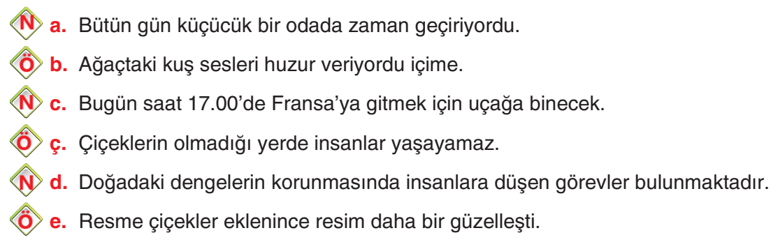 6. Sınıf Türkçe Ders Kitabı Sayfa 207 Cevapları Yıldırım Yayınları