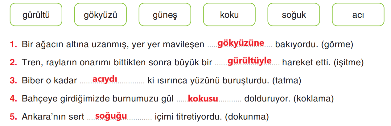 6. Sınıf Türkçe Ders Kitabı Sayfa 208 Cevapları Yıldırım Yayınları