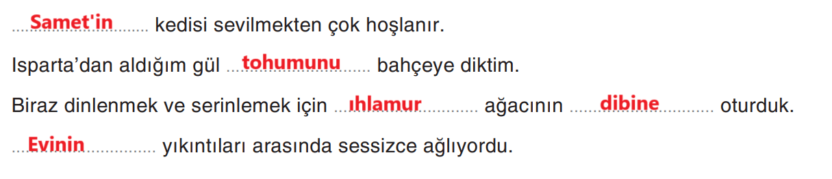 6. Sınıf Türkçe Ders Kitabı Sayfa 208 Cevapları Yıldırım Yayınları