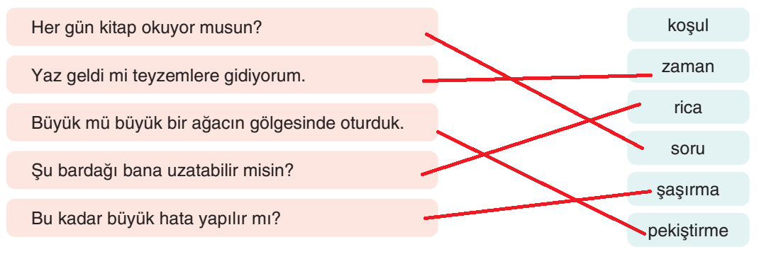 6. Sınıf Türkçe Ders Kitabı Sayfa 217 Cevapları Yıldırım Yayınları