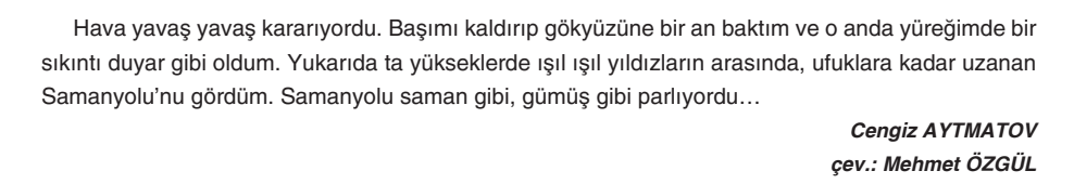 6. Sınıf Türkçe Ders Kitabı Sayfa 217 Cevapları Yıldırım Yayınları