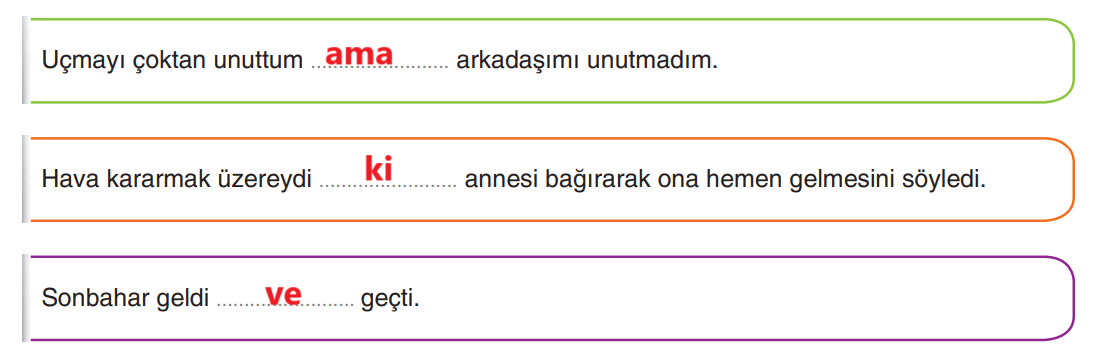 6. Sınıf Türkçe Ders Kitabı Sayfa 225 Cevapları Yıldırım Yayınları