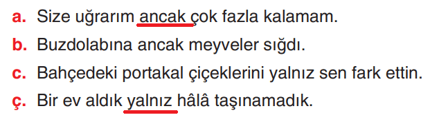 6. Sınıf Türkçe Ders Kitabı Sayfa 246 Cevapları Yıldırım Yayınları