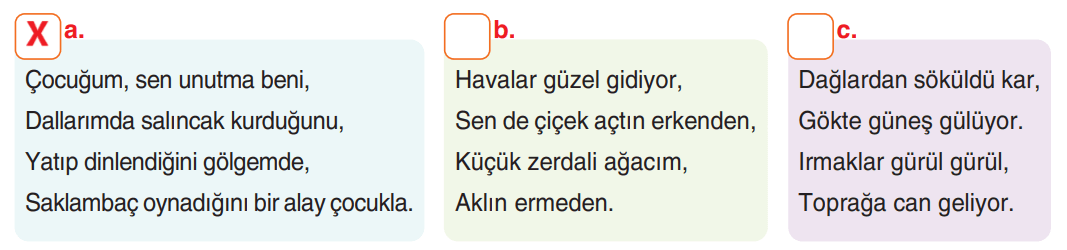 6. Sınıf Türkçe Ders Kitabı Sayfa 246 Cevapları Yıldırım Yayınları