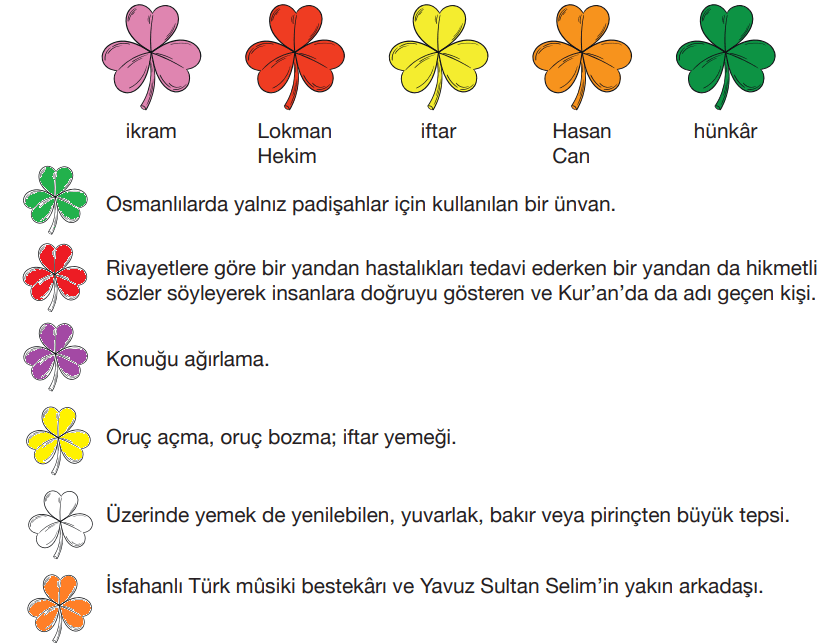 7. Sınıf Türkçe Ders Kitabı Sayfa 181 Cevapları Özgün Yayıncılık