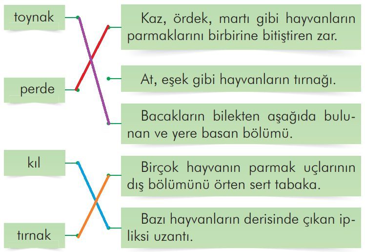 2. Sınıf Türkçe Ders Kitabı Sayfa 276 Cevapları İlke Yayıncılık