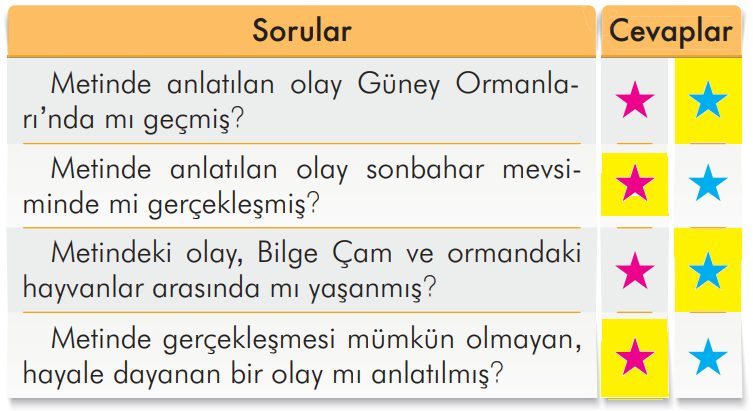 2. Sınıf Türkçe Ders Kitabı Sayfa 290 Cevapları İlke Yayıncılık