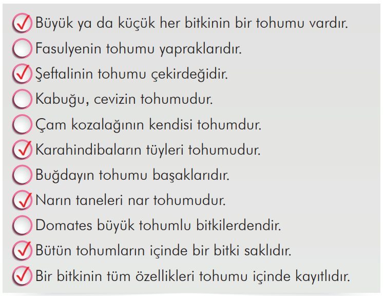 2. Sınıf Türkçe Ders Kitabı Sayfa 297 Cevapları İlke Yayıncılık