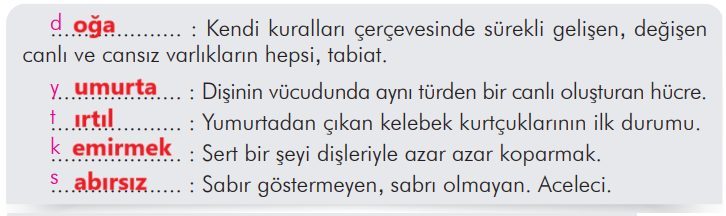 3. Sınıf Türkçe Ders Kitabı Sayfa 269 Cevapları İlke Yayıncılık