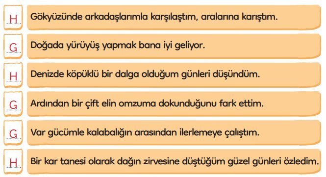 3. Sınıf Türkçe Ders Kitabı Sayfa 269 Cevapları MEB Yayınları